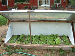 cold frame
